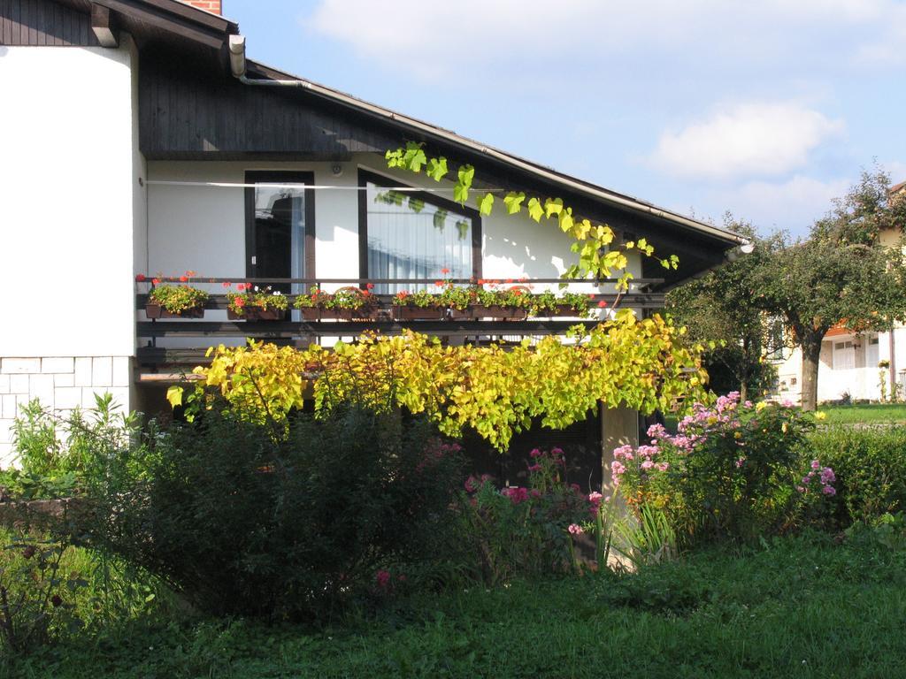 Apartment Mala Bled Pokój zdjęcie