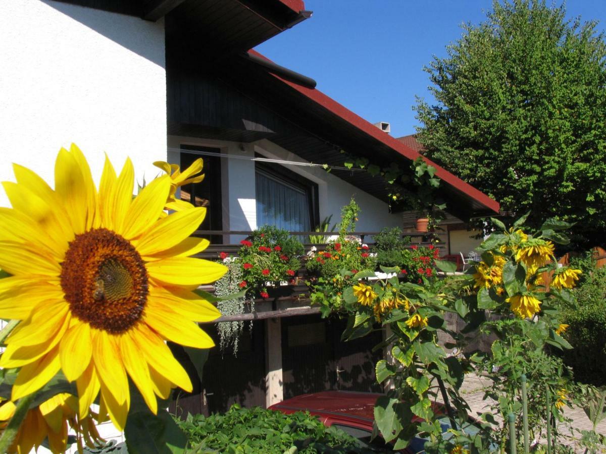 Apartment Mala Bled Zewnętrze zdjęcie